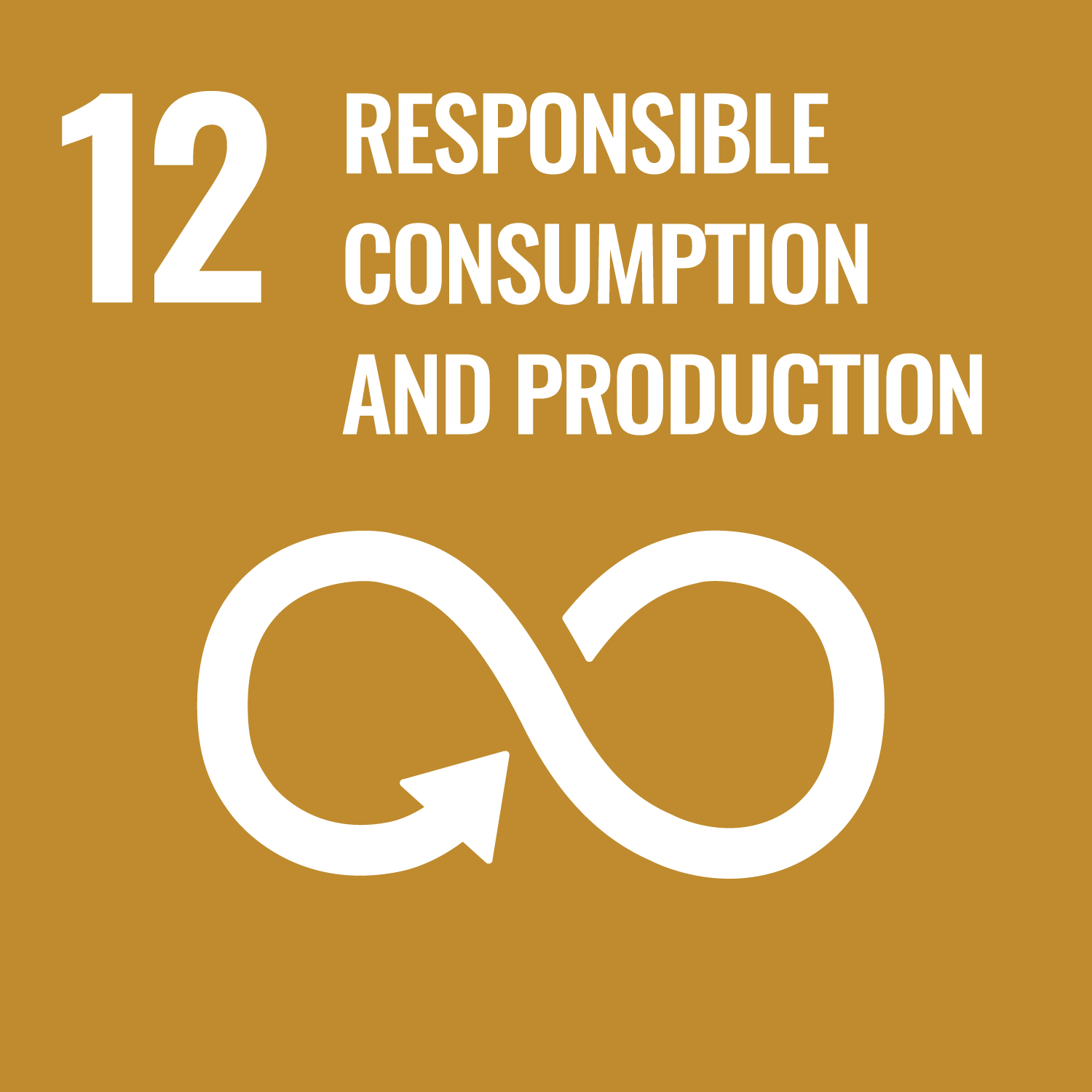 Responsible Consumption and Production (SDG12)