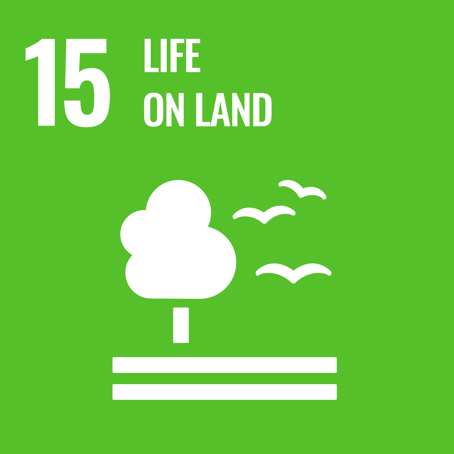 Life on Land (SDG15)